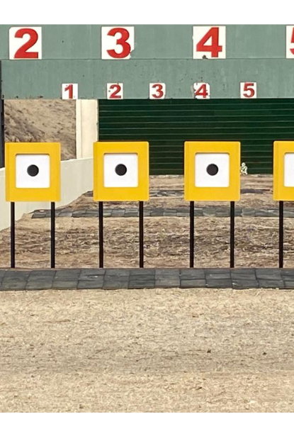 Untitled design (54)